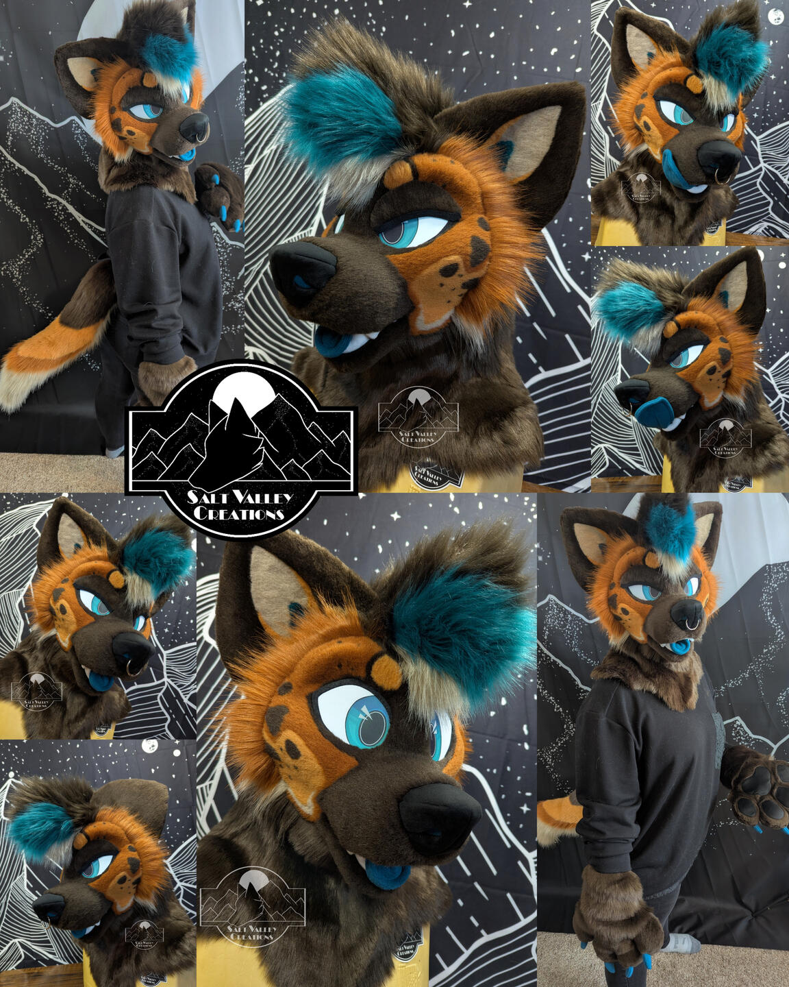 Spotted Hyena Spotted Hyena